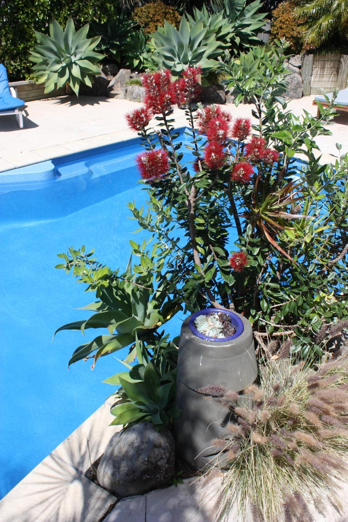 Snells Beach Motel Esterno foto